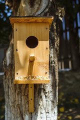 Wooden bird house hanging on a large tree.