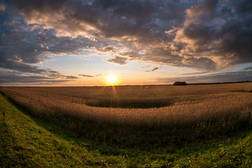 panorama of blue red sky background with evening fluffy curly rolling clouds with setting sun. Good windy weather