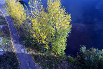 Autumn landscape. Beautiful top view of the river and forest.