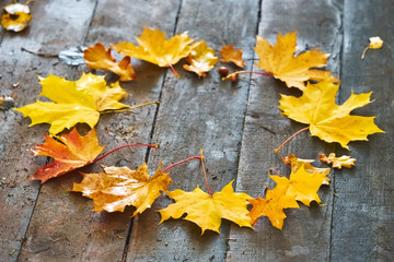 frame of autumn maple leaves on a wooden background