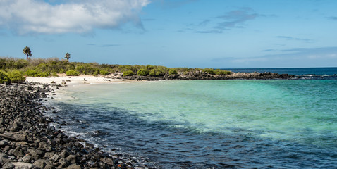 Fototapeta premium Plaża na małej wyspie Santa Fe, Galapagos.