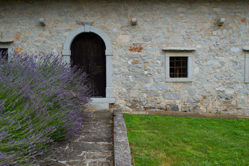 Old wooden doors in european style