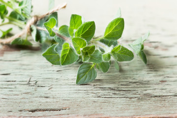 Oregano on a wooden background. Aromatic herbs.