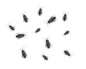  cockroaches vector icon illustration design template