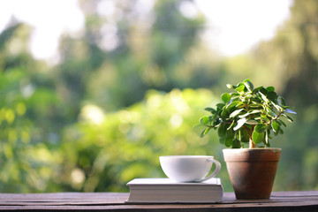 White coffee cup with small plant in old brown pot with white thick book on wooden table at outdoor