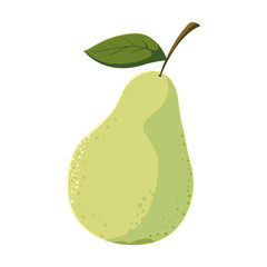 Isolated pear fruit vector design