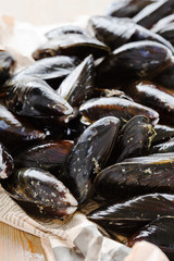 Mussel