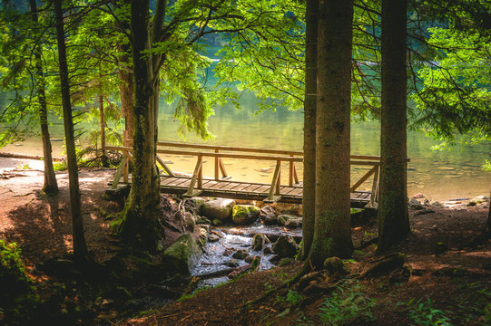 Br&uuml;cke am Feldsee