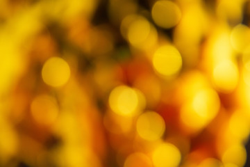 Golden defocused christmas lights. Abstract bokeh background. Party, holiday and festive concept. Invitation card theme