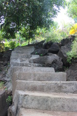 stairs in garden