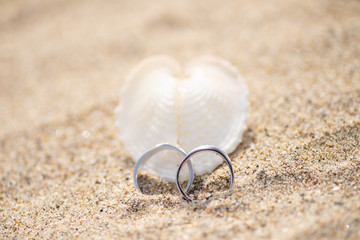ハート型の貝と指輪
