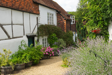 Cottage in Shere, Surrey, England