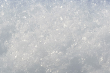 snow large snowflakes visible texture winter day