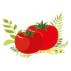 Isolated tomatoes icon vector design