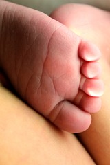 baby toes
