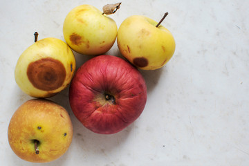 One rooten yellow apple on a wooden table