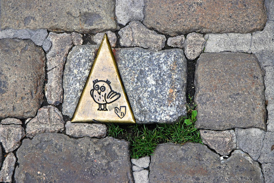 mark of the owl's trail