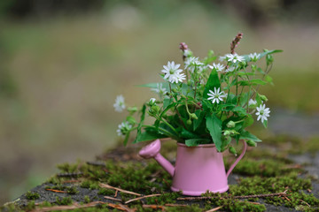 flowers in pot