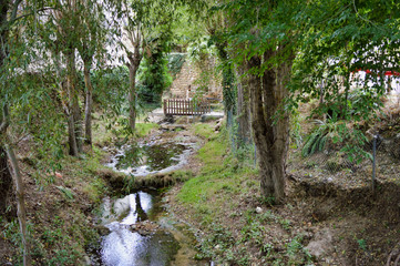 Spring landscape in the summer