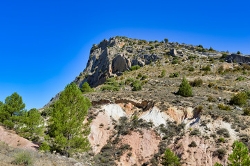 Landscape in the mountain in summer