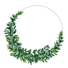 Buxus wreath watercolor illustration. Boxwood  hand drawn frame with green leaves and branches, perfect for greeting cards, invitations and save the date wedding design. Isolated on white background.