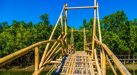 Pedestrian bridge made of bamboo in the Philippines