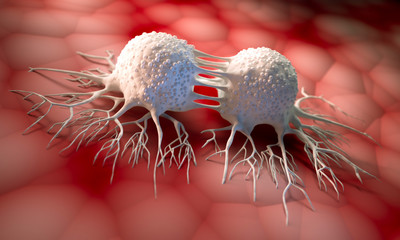 Dividing cancer cells - 3D illustration - obrazy, fototapety, plakaty