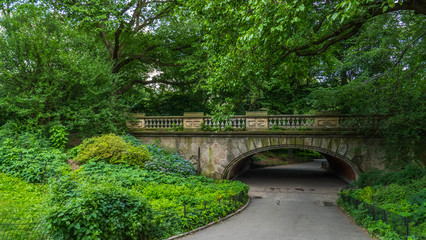 Fototapeta na wymiar Hidden Bridge in Central Park, New York City