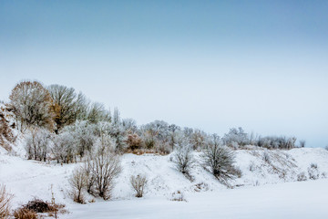 Snow covered trees on the river bank, winter landscape_