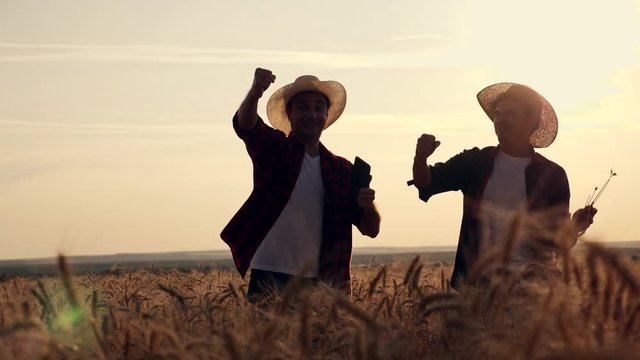 eam work. Two farmers stand at sunset in a wheat field, and discuss the new crop.. Farmers use new technologies in agriculture. Growing organic products.
