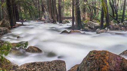 River in Yosemite National Park