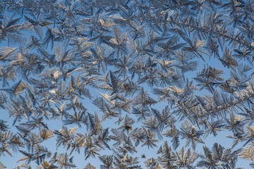 frosty pattern on blue glass winter day