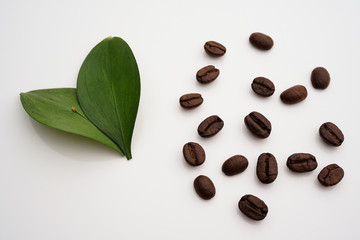 close up of roasted coffee bean with green leaf heart shape symbolise coffee lover and coffee international Day