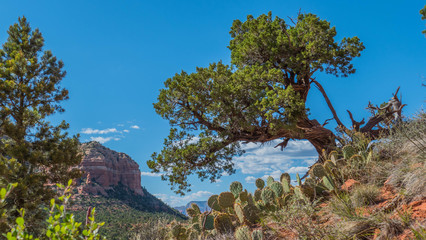 View from the mountain in Sedoa, America