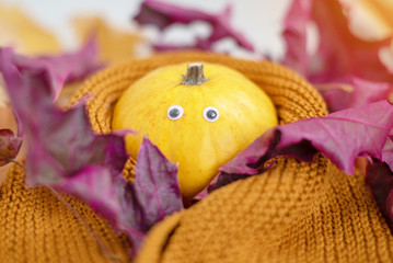 decorative pumpkin with googly eyes in a scarf with autumn leaves on the background. Halloween concept. 