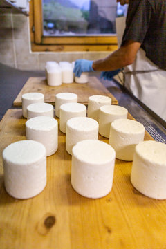 Cheese making milk dairy farming