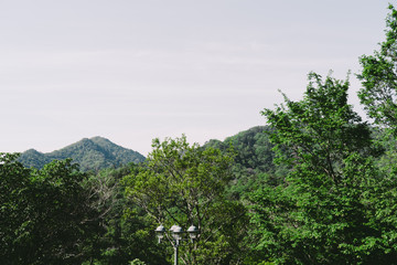 神戸布引周辺風景
