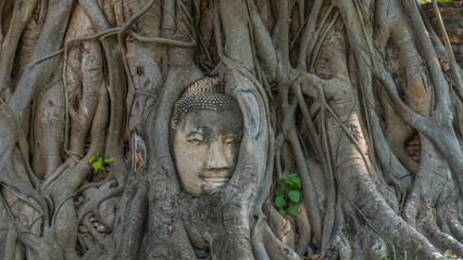 Walking through the ruins city in Thailand