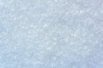 snow large snowflakes visible texture winter day