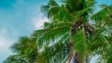 Fototapeta na wymiar Nice destination on the beach in the Philippines