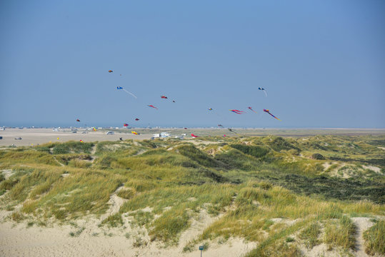 Denmark Romo island beach coast line Sand and green grass
