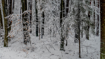 Beautiful snow landscape in Germany