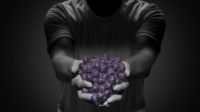 man hands holding bunch of red grapes black background sin city effect