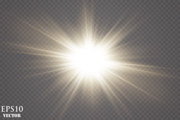 Vector transparent sunlight special lens flare light effect.