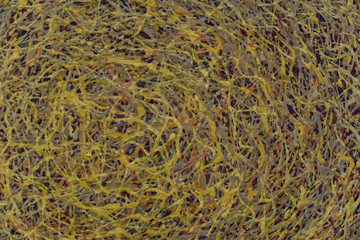 Hand drawn acrylic painting. Abstract art background. Acrylic painting on canvas. Color texture. Fragment of artwork. Brushstrokes of paint. Modern art. Colorful canvas. Close up.