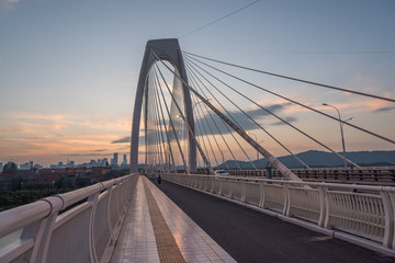 Modern large cable-stayed bridge arches perspective view at dusk background