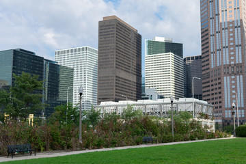 Skyscrapers in Downtown Chicago seen from a Park