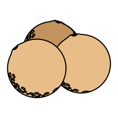 Isolated melons fruit vector design