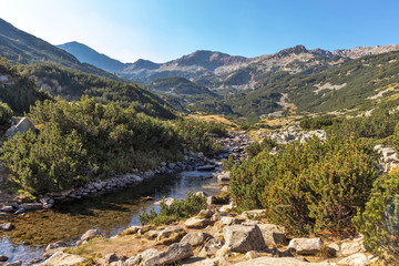 Fototapeta na wymiar Landscape of Banderitsa River Valley, Pirin Mountain
