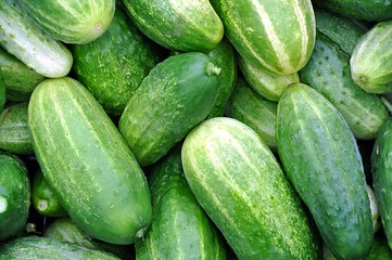 fresh vegetables cucumbers